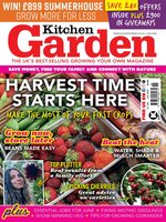 Kitchen Garden